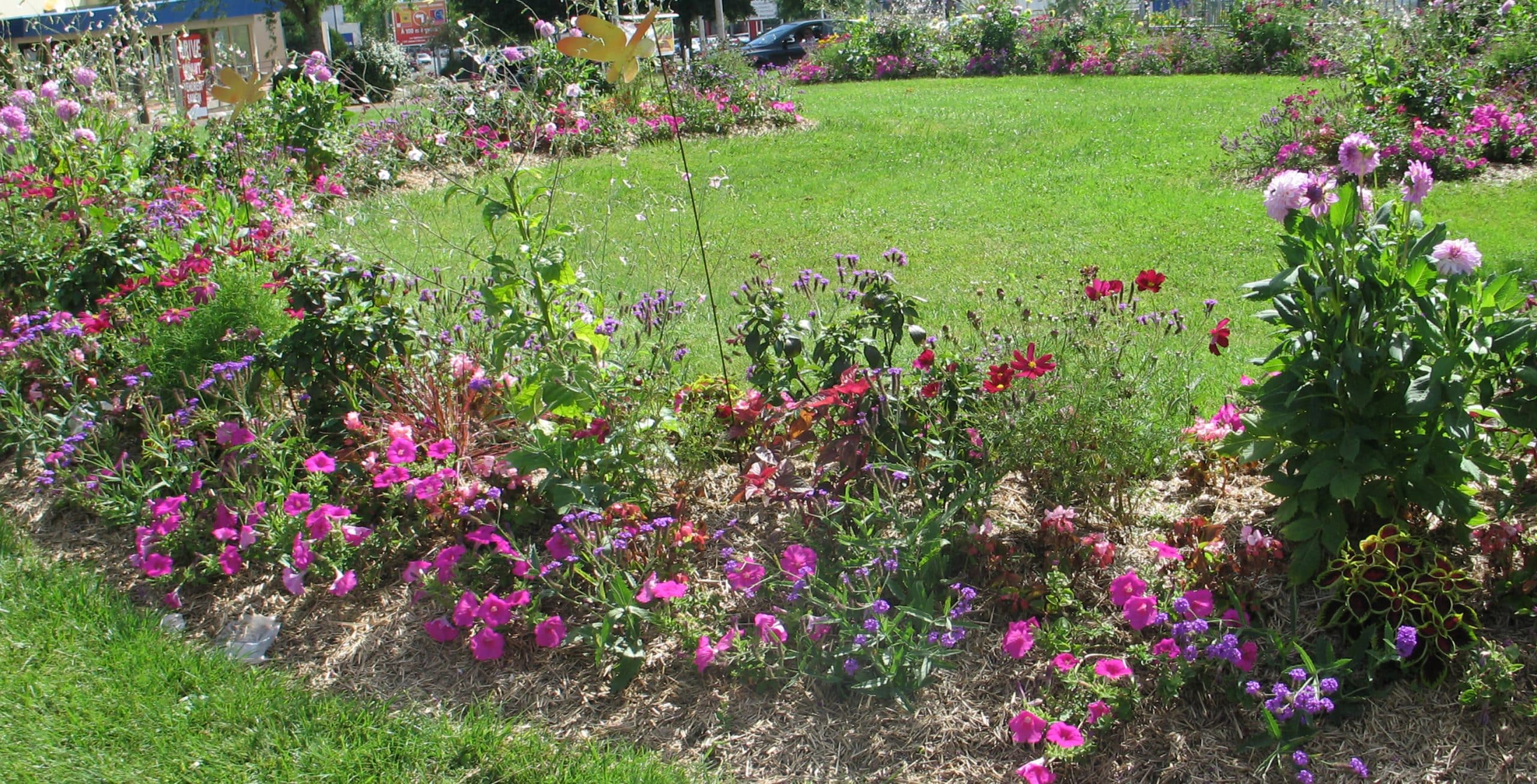 Maisons fleuries et éco-jardinage - Mairie d'Amilly
